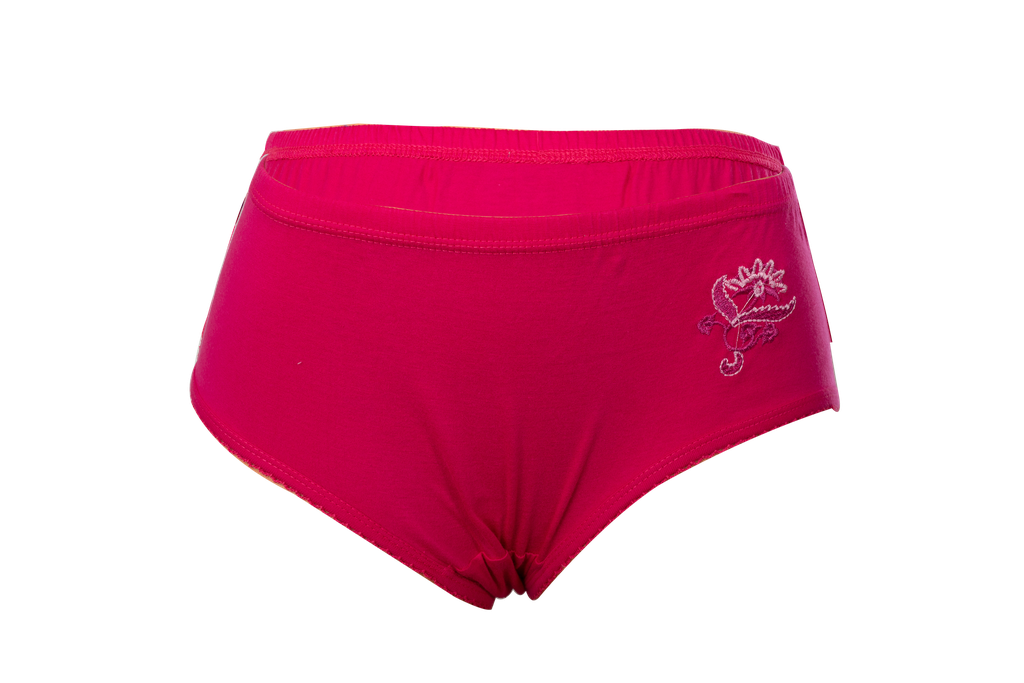 Women's Embroidered Panty