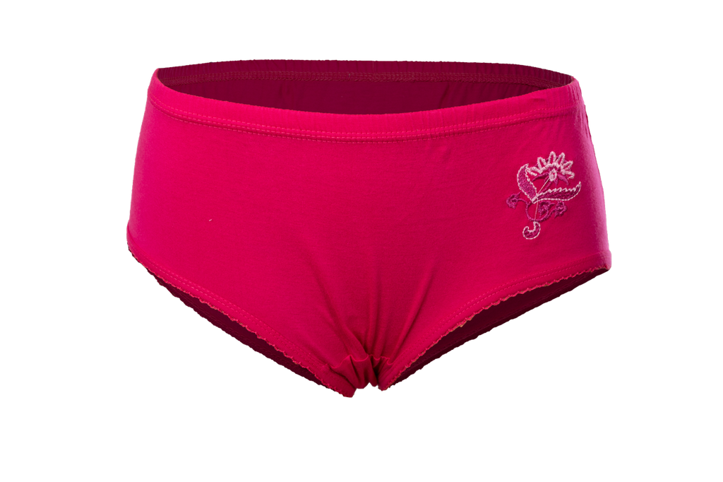 Women's Embroidered Panty