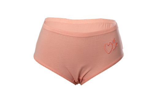 Women's Embroidered Panty